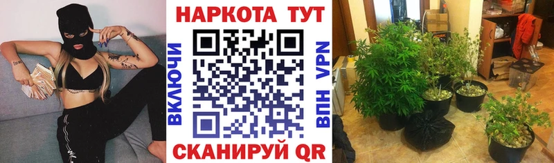 Цена Карачаевск APVP  Псилоцибиновые грибы  Мефедрон 