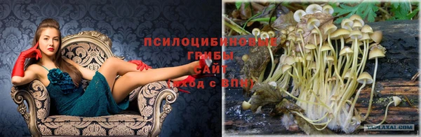 гашишное масло Каменногорск